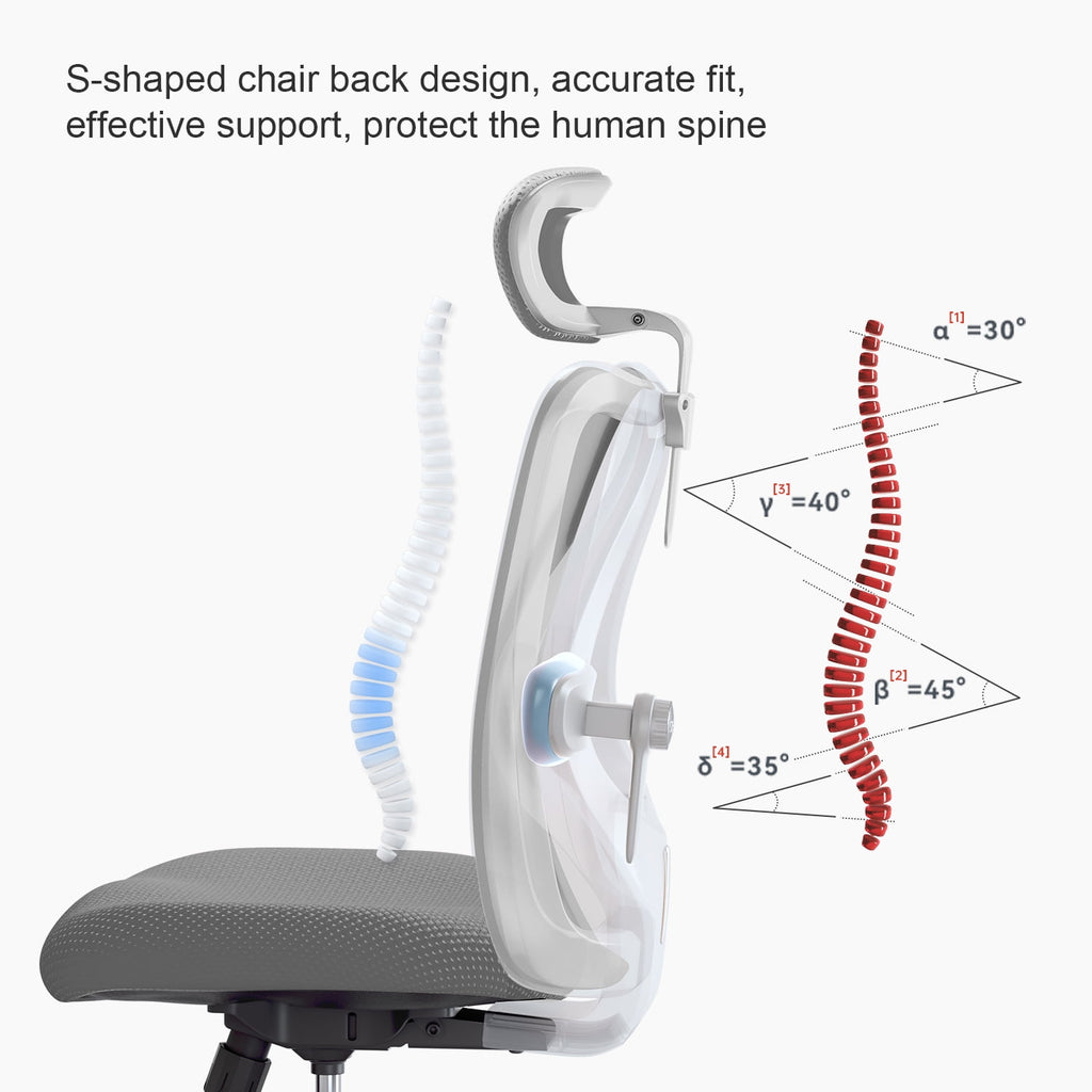 Sihoo M18 Mesh Ergonomic Office Chair with Adjustable Lumbar Support, High Back, Black