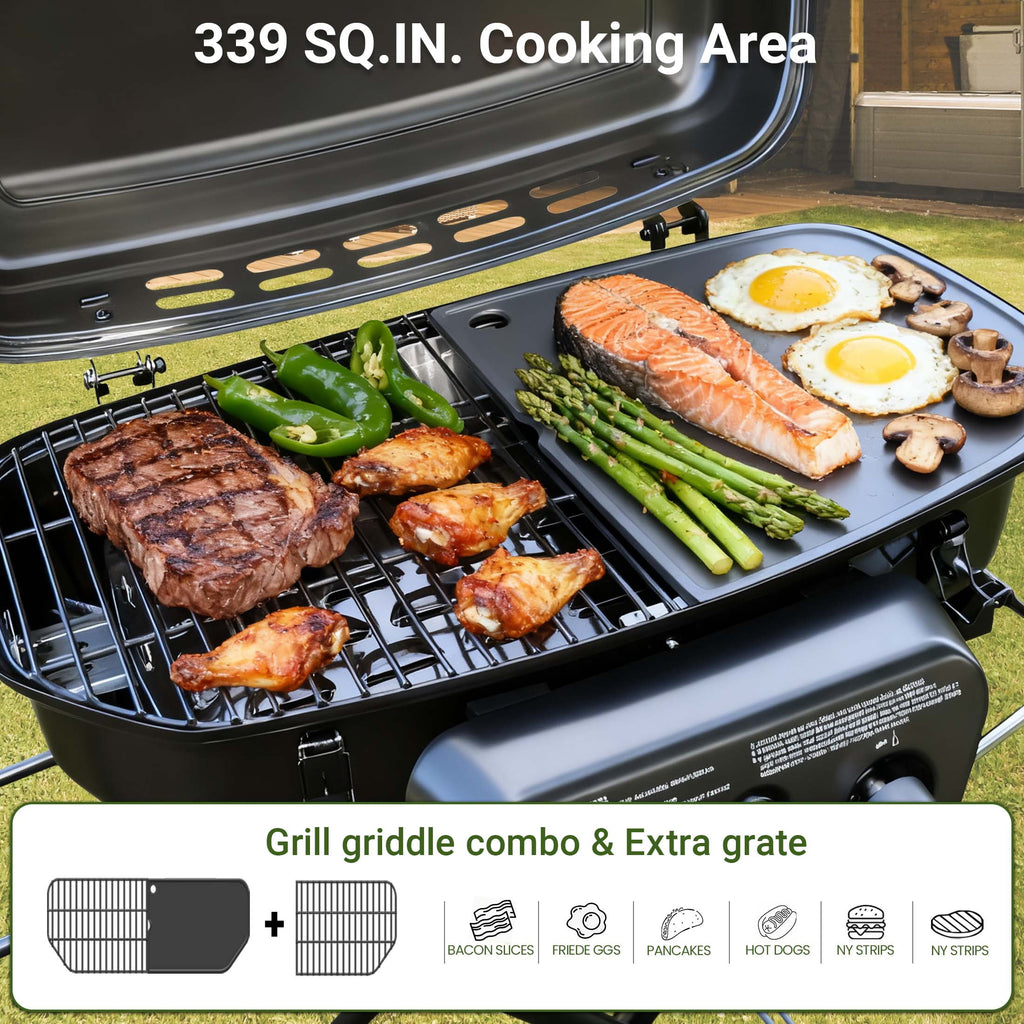 Brand Man Portable 2-Burner Camping Propane Gas Grill, Enameled Foldable BBQ with Griddle for Outdoor Cooking, Green