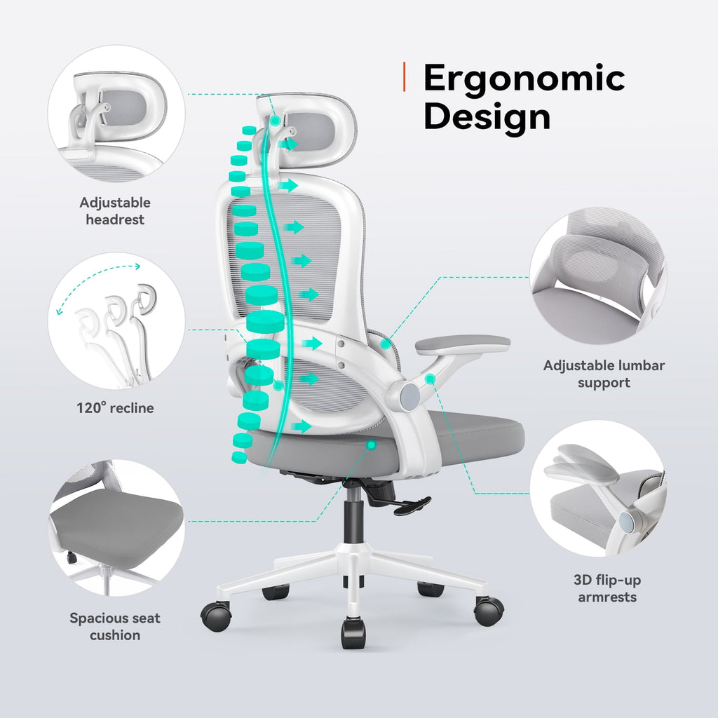 Sihoo Ergonomic Office Chair with Adjustable Lumbar Support, Mesh Backrest, 3D Armrests, 2D Headrest, Tall Seat, Recline