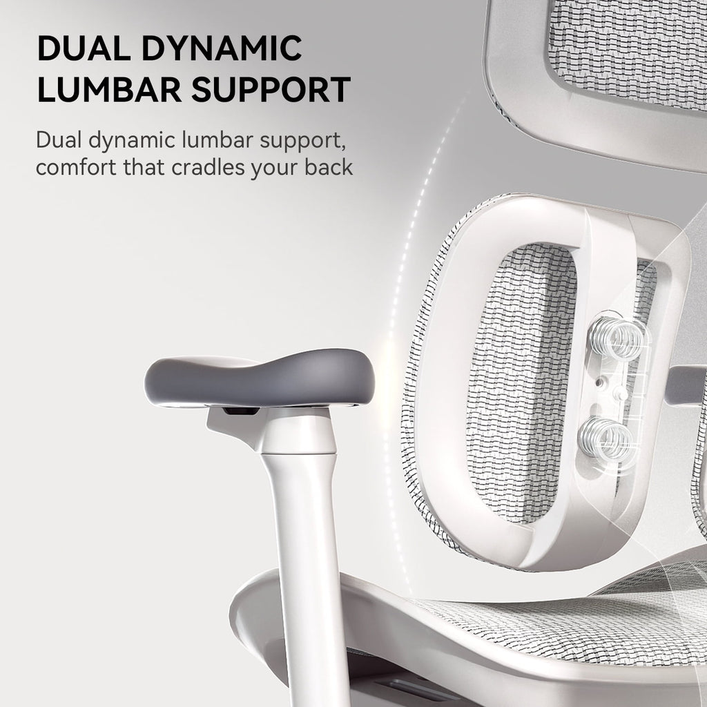 SIHOO Doro S100 Ergonomic Office Chair - with Dual Dynamic Lumbar Support, 5-Level Adjustable Backrest, 4D Coordinated Armrests, 135-degree Max. Recline Angle White