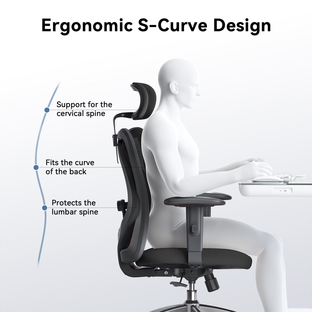 Sihoo M18 Mesh Ergonomic Office Chair with Adjustable Lumbar Support, High Back, Black