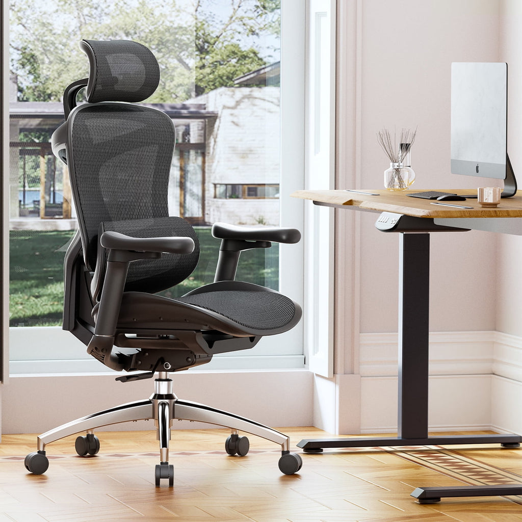 Sihoo Doro-C300 Ergonomic Chair, 3D Armrests  Swivel Chair, Adaptive Lumbar Support Office Chair, Ergonomic Desk Chairs for Adults, Comfort Home Office Chair, Black (Set of 1))