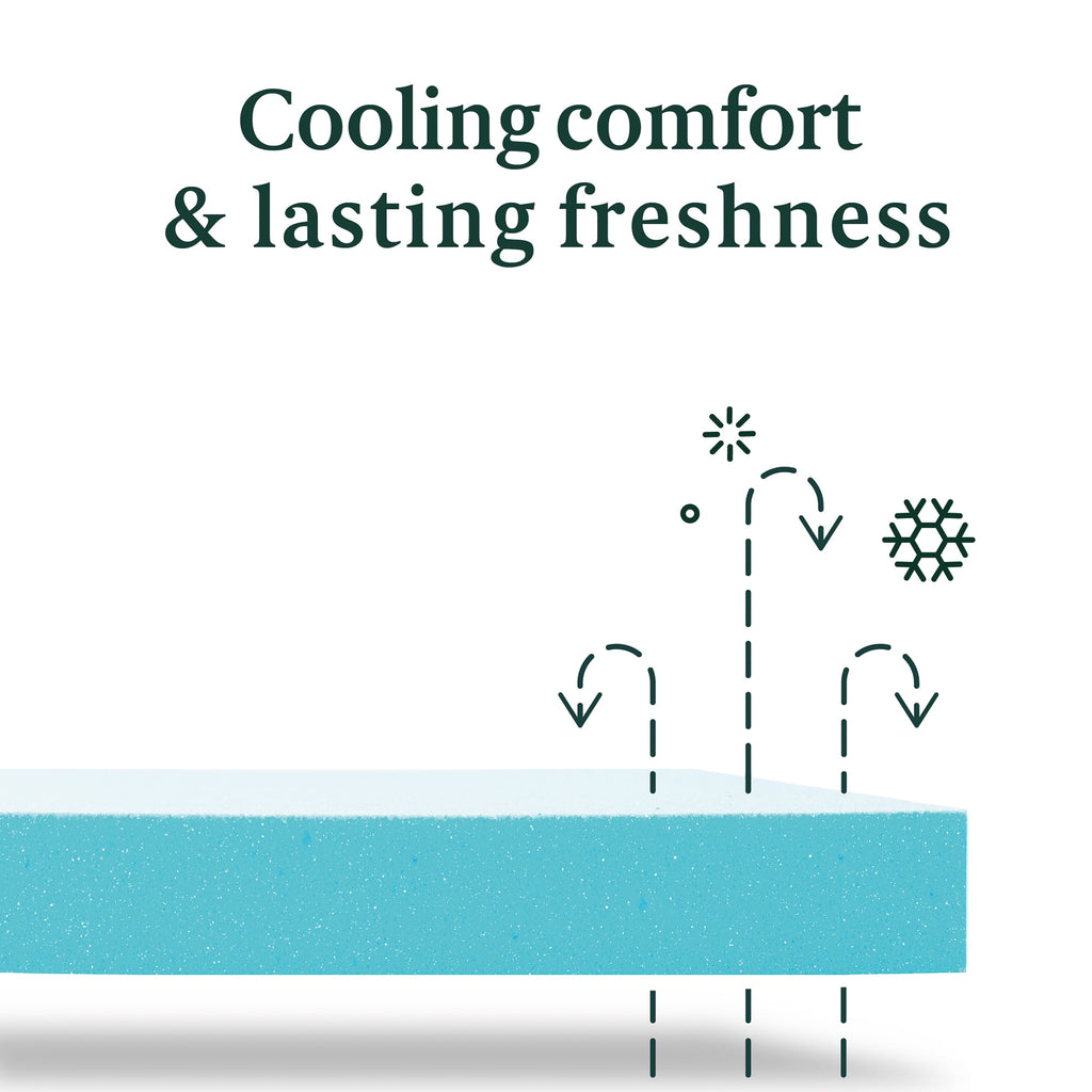 Zinus Cooling Airflow 10 Hybrid Mattress in a Box, Adult, Queen