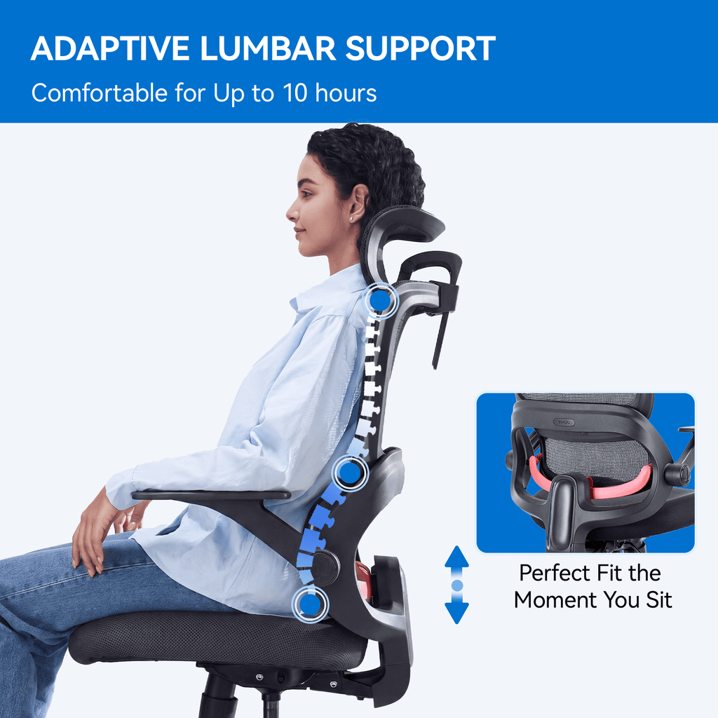 SIHOO B100 Se Office Chair, Executive Chair with Cotton Seat, Dual-Back Ergonomic Chair, 2D Adjustable Headrest & Flip Link Armrest, Comfort Mesh Chair for Home Office & Gaming, 265lbs, Gray