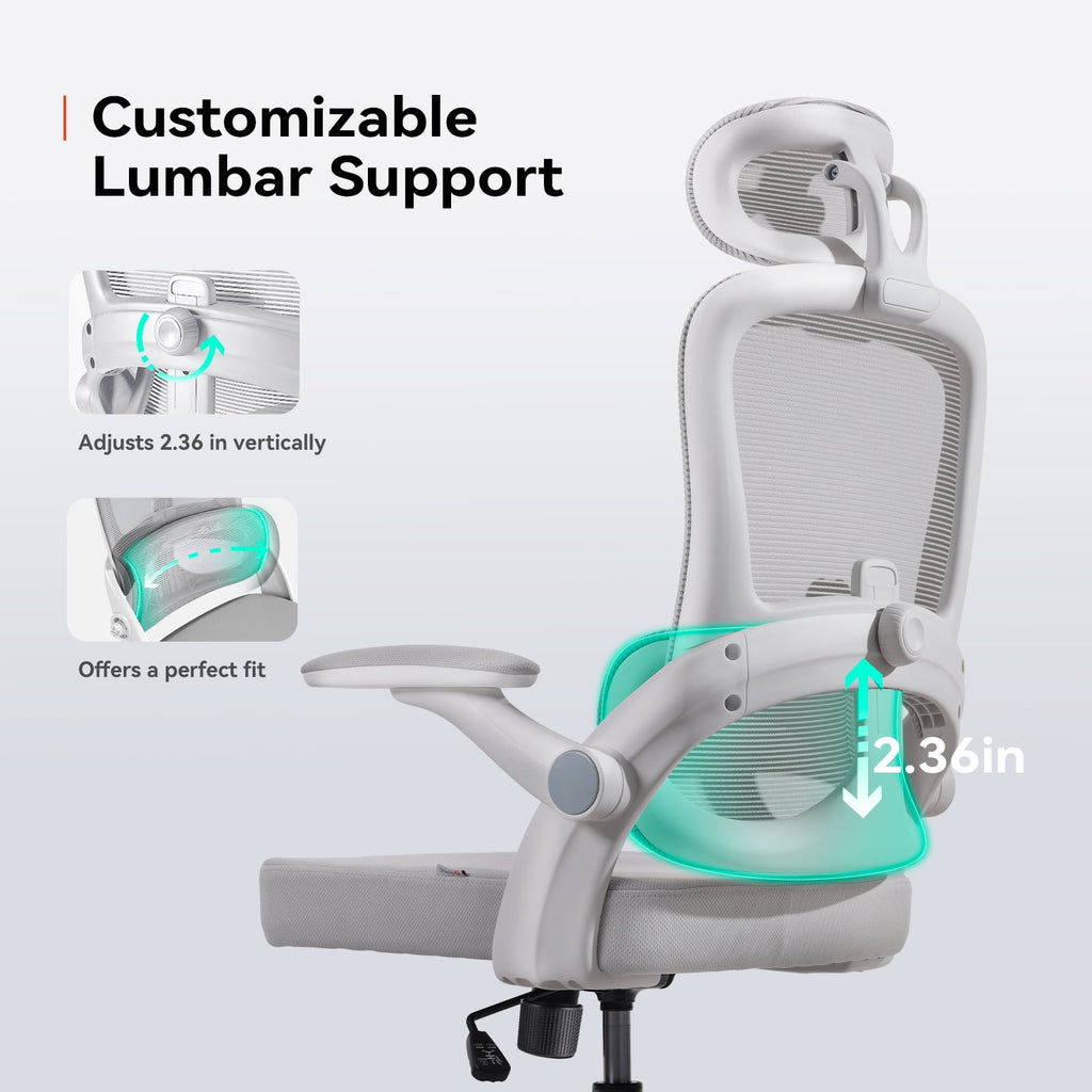 Sihoo Ergonomic Office Chair with Adjustable Lumbar Support, Mesh Backrest, 3D Armrests, 2D Headrest, Tall Seat, Recline