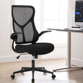 GIANNA Mesh Ergonomic Office Desk Chair, High Back Swivel Computer Chair, With 2D Headrest, Up&Down Lumbar Support, Adjustable Flip-up Armrests, Black