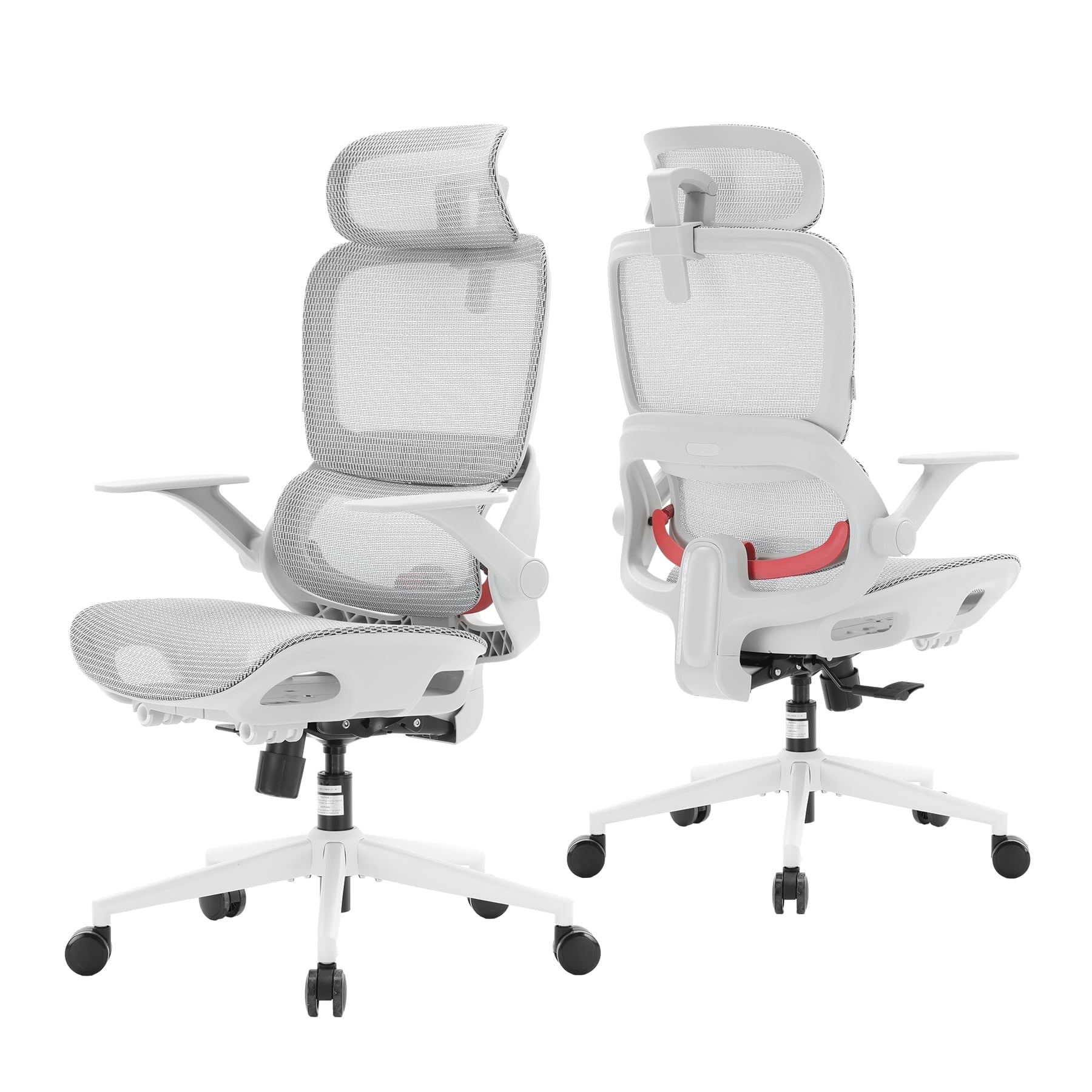 SIHOO B100 Ergonomic Office Chair, Task Chair with Zoned Back Support, 2D Wide Headrest Study Chair for Teenager, High Back Executive Chair for Home Office, White