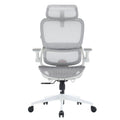 SIHOO B100 Pro Ergonomic Office Chair, Adaptive Elastic Lumbar Desk Chair, 4D Arms & 3D Ultra-Wide Headrest Computer Chair for Teenager, High Back Executive Chair for Home Office & Gaming, White
