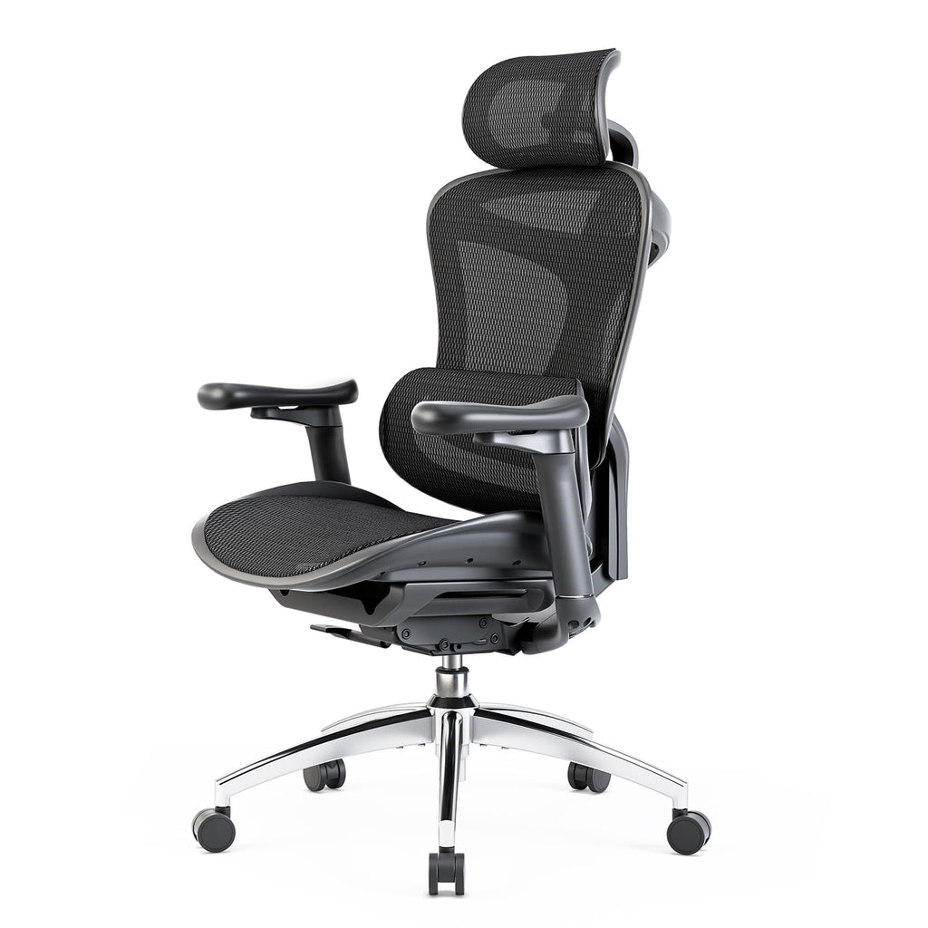 Sihoo Doro-C300 Ergonomic Chair, 3D Armrests  Swivel Chair, Adaptive Lumbar Support Office Chair, Ergonomic Desk Chairs for Adults, Comfort Home Office Chair, Black (Set of 1))