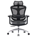Sihoo Doro C300 Ergonomic Office Chair with Headrest, Lumbar Support, Adjustable Backrest, 3D Armrests, Breathable Mesh, Height & Tilt Adjustment - Black