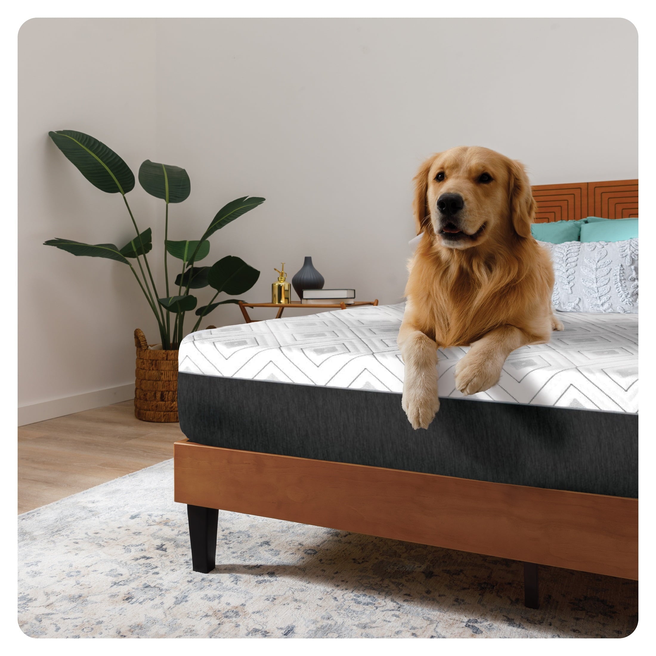Sealy Essentials Cool-Touch 11” Hybrid Medium-Feel Queen Mattress-in-a-Box, Adult