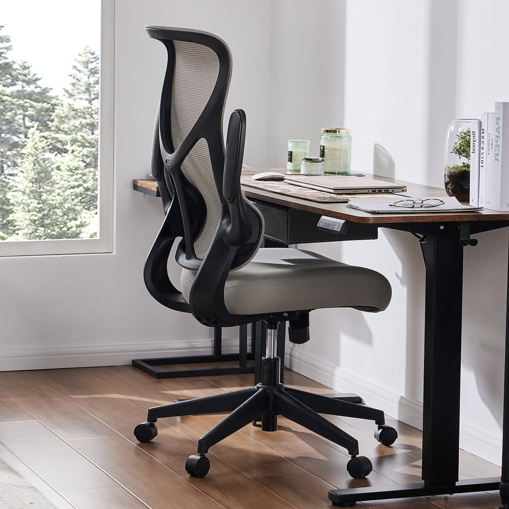 GIANNA Mesh Ergonomic Office Desk Chair, High Back Swivel Computer Chair, With 2D Headrest, Up&Down Lumbar Support, Adjustable Flip-up Armrests, Black