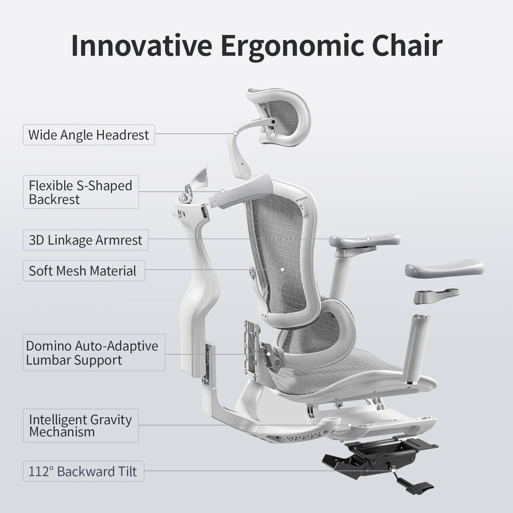 Sihoo Doro-C300 Ergonomic Chair, 3D Armrests  Swivel Chair, Adaptive Lumbar Support Office Chair, Ergonomic Desk Chairs for Adults, Comfort Home Office Chair, Gray