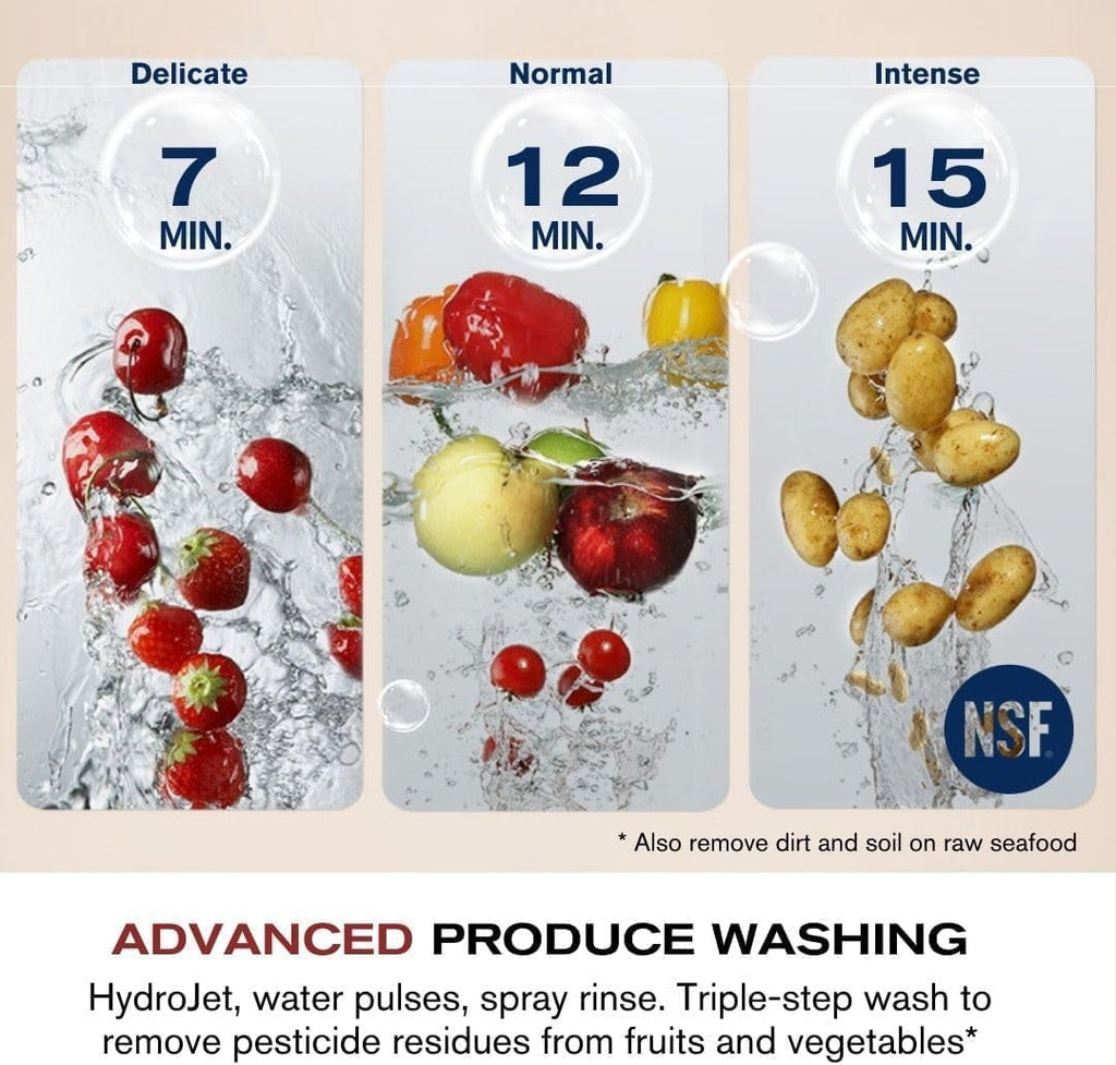 FOTILE SD2F-P5L 3-In-1 In-Sink Dishwasher