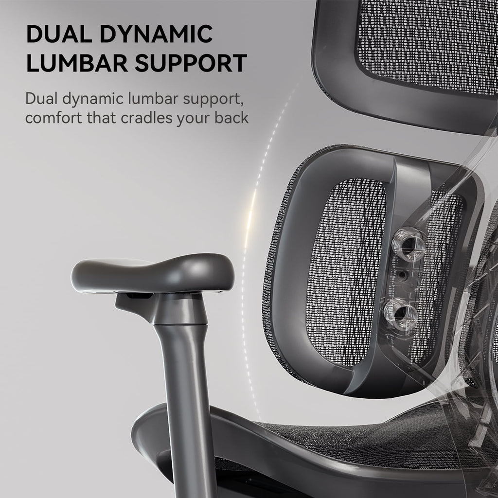 SIHOO Doro S100 Ergonomic Office Chair - with Dual Dynamic Lumbar Support, 5-Level Adjustable Backrest, 4D Coordinated Armrests, 135-degree Max. Recline Angle White
