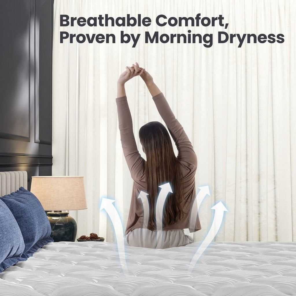 Bedstory Firm Queen Hybrid Mattress 10, Euro Top, Extra Back & Hip Support, CertiPUR-US Certified, 365-Night Trial