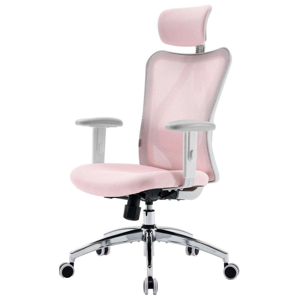 Sihoo M18 Mesh Ergonomic Office Chair with Adjustable Lumbar Support, High Back, Black