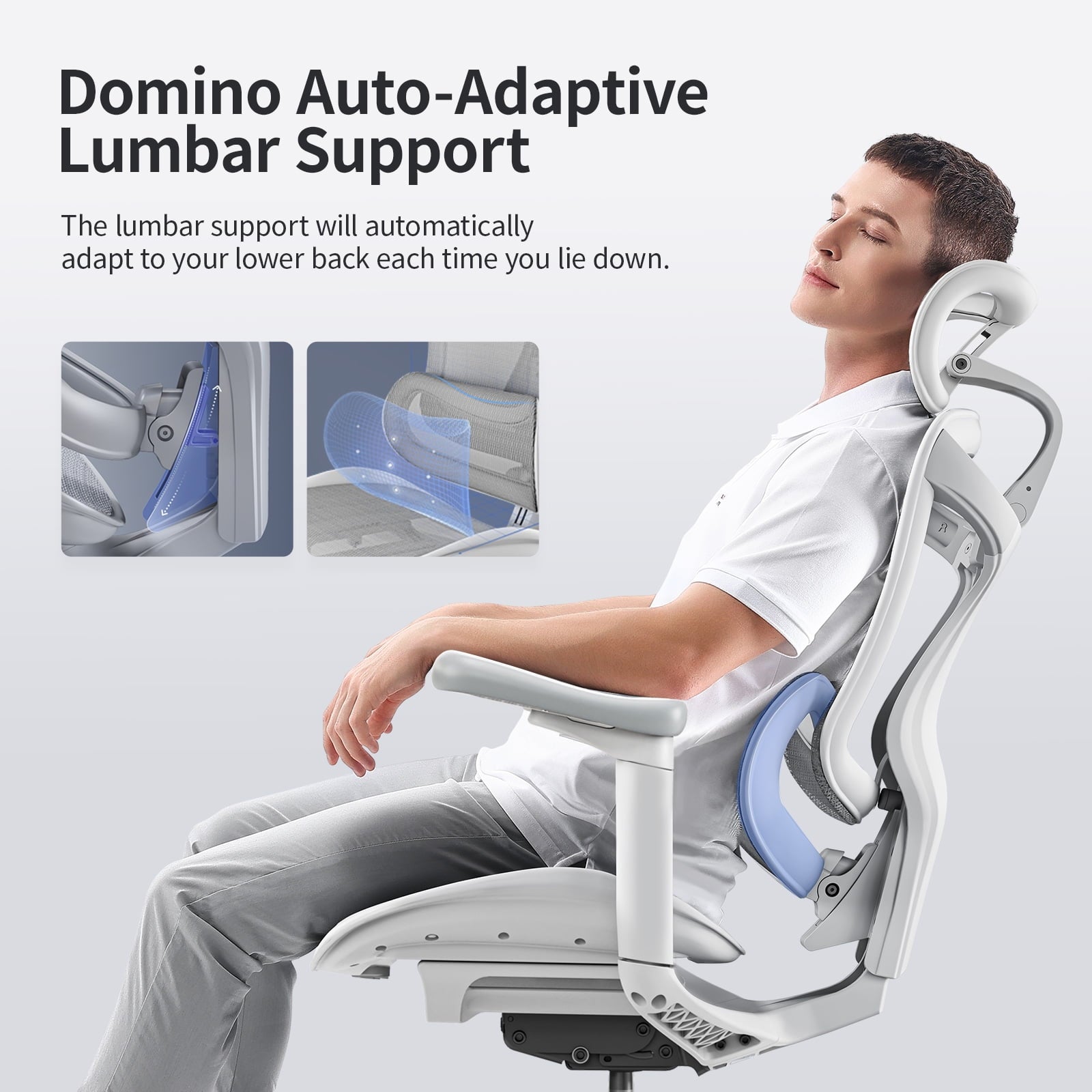 Sihoo Doro-C300 Ergonomic Chair, 3D Armrests  Swivel Chair, Adaptive Lumbar Support Office Chair, Ergonomic Desk Chairs for Adults, Comfort Home Office Chair, Gray