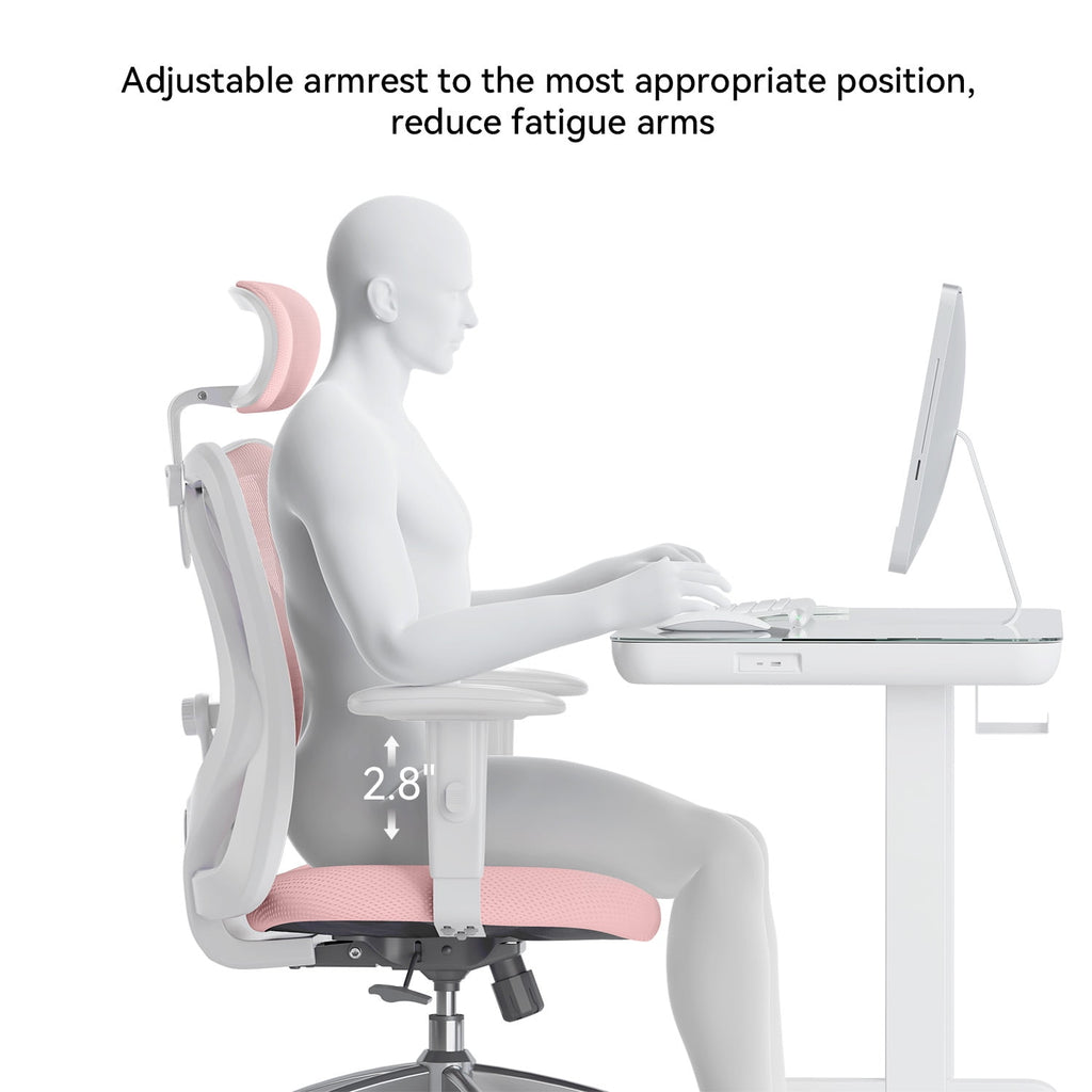 Sihoo M18 Mesh Ergonomic Office Chair with Adjustable Lumbar Support, High Back, Black