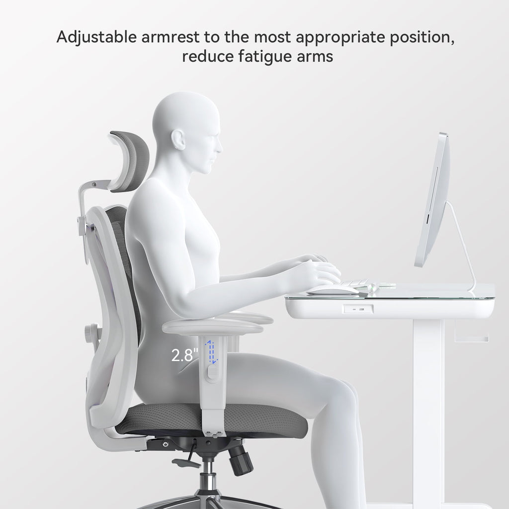 Sihoo M18 Mesh Ergonomic Office Chair with Adjustable Lumbar Support, High Back, Black