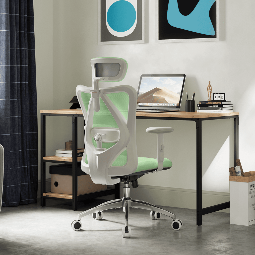 Sihoo M18 Mesh Ergonomic Office Chair with Adjustable Lumbar Support, High Back, Black
