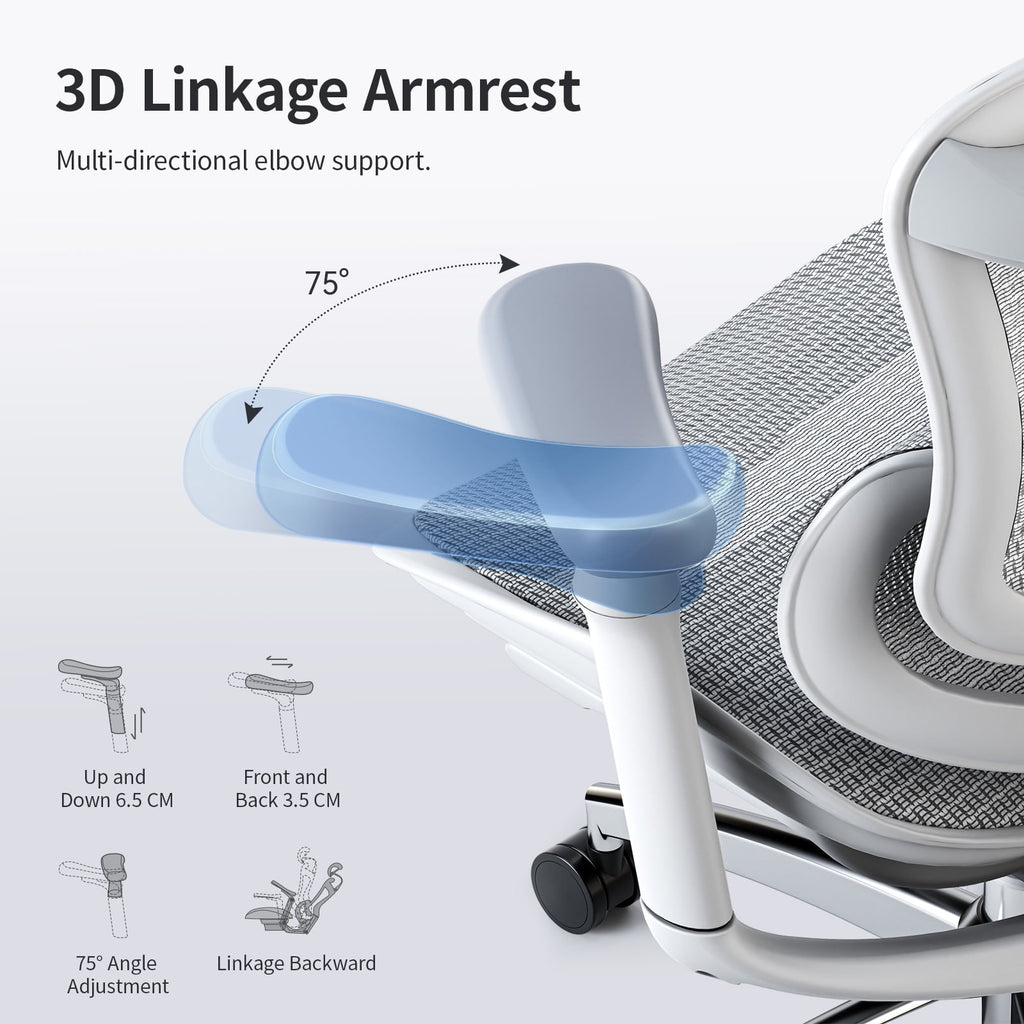 Sihoo Doro-C300 Ergonomic Chair, 3D Armrests  Swivel Chair, Adaptive Lumbar Support Office Chair, Ergonomic Desk Chairs for Adults, Comfort Home Office Chair, Gray