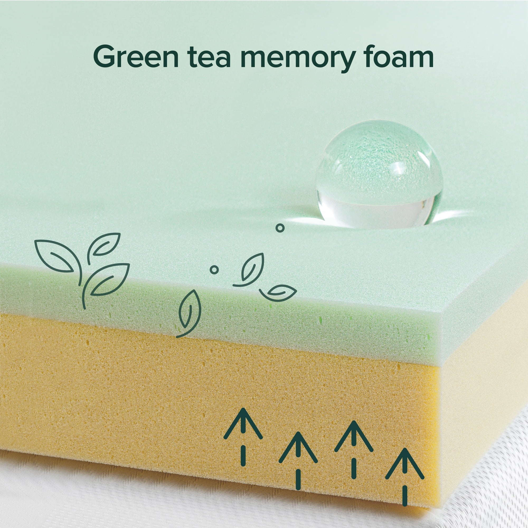 Zinus Spa Sensations Serenity 8 Memory Foam Mattress, Queen