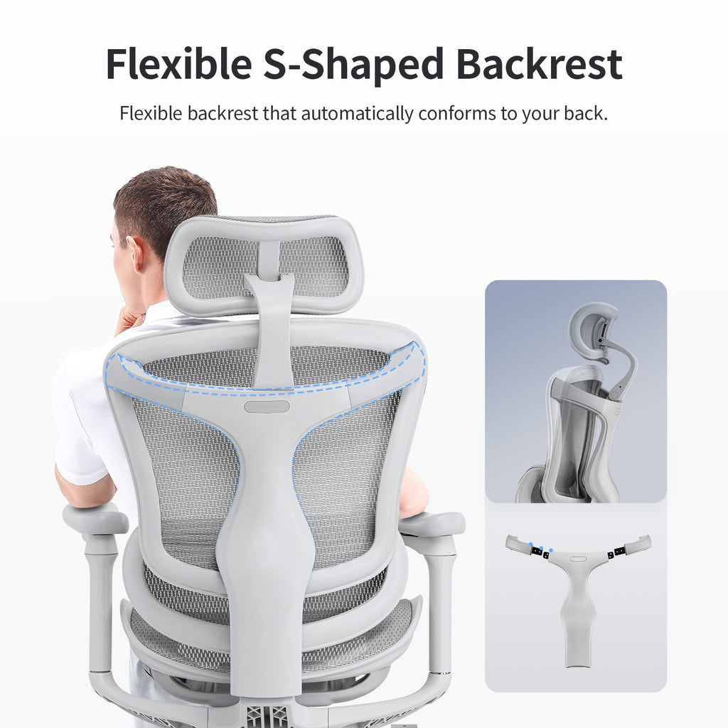 Sihoo Doro-C300 Ergonomic Chair, 3D Armrests  Swivel Chair, Adaptive Lumbar Support Office Chair, Ergonomic Desk Chairs for Adults, Comfort Home Office Chair, Gray